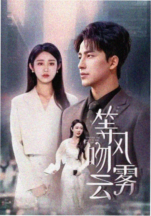 热播剧集春山可望海报