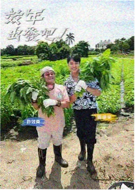综艺一百种生活封面